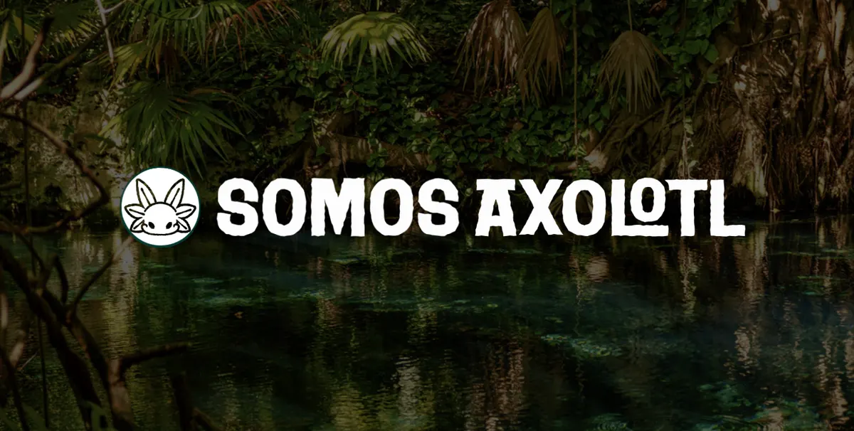Somos Validator banner